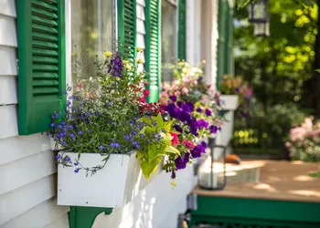 The Woodstocker B&B hotel thumbnail 3