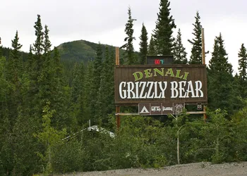Denali Grizzly Bear Resort hotel thumbnail 3
