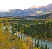 Denali Grizzly Bear Resort hotel detail image 5