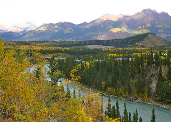 Denali Grizzly Bear Resort hotel thumbnail 5