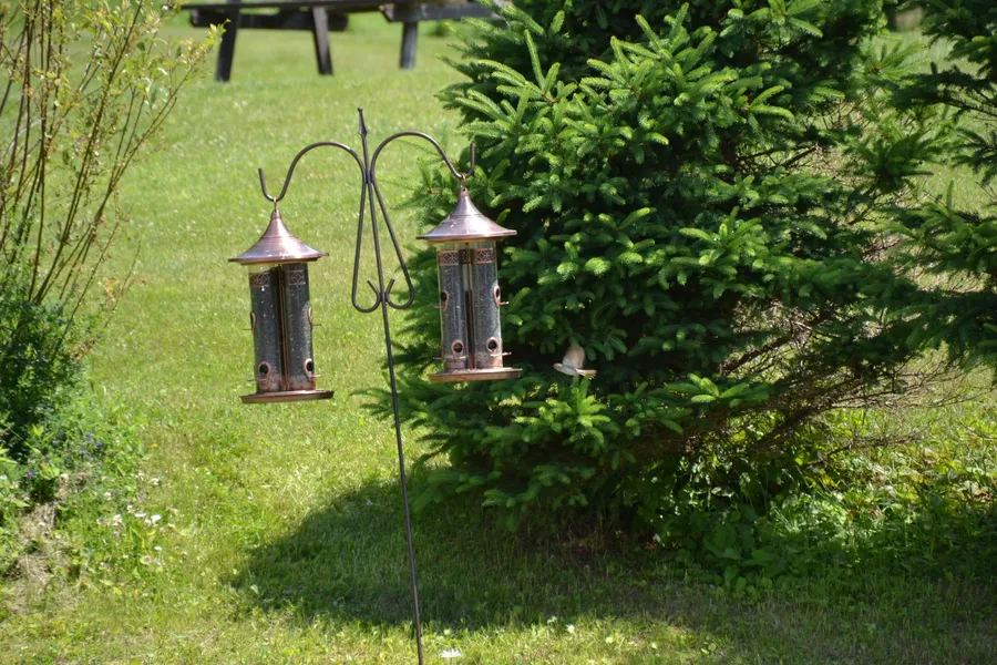 Calabogie Motor Inn hotel detail image 6