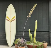 Hotel June Malibu hotel detail image 4