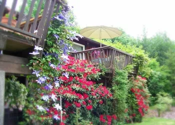 Misty Valley Inn B&B hotel thumbnail 3