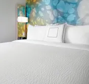 Courtyard by Marriott Houston Intercontinental Airport hotel detail image 4