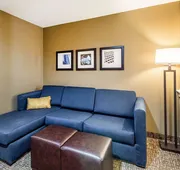Comfort Suites Channelview - Houston East hotel detail image 7