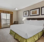 Best Western Wainwright Inn & Suites hotel detail image 3