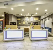 Holiday Inn Express & Suites Dallas NW - Farmers Branch by IHG hotel detail image 4