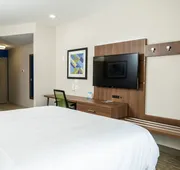 Holiday Inn Express & Suites Lubbock Central - Univ Area by IHG hotel detail image 7