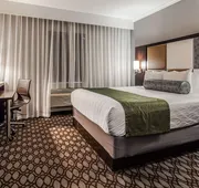 Best Western Premier NYC Gateway Hotel hotel detail image 4
