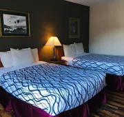 Bear Mount Inn & Suites hotel detail image 7