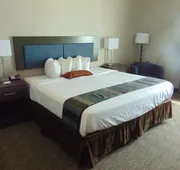 Wingate by Wyndham Lubbock near Texas Tech Univ. Medical Ctr hotel detail image 5