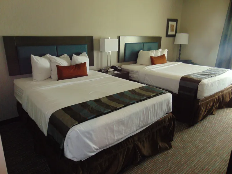 Wingate by Wyndham Lubbock near Texas Tech Univ. Medical Ctr hotel detail image 6