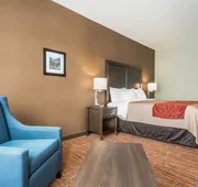 Comfort Inn & Suites hotel detail image 5