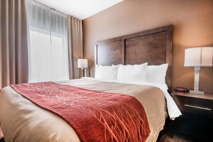 Comfort Inn & Suites hotel detail image 6