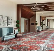 Embassy Suites by Hilton Noblesville Indianapolis Convention Center hotel detail image 4