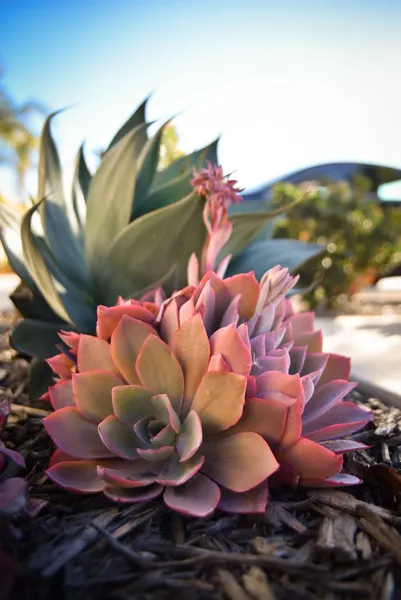 Hilton Garden Inn Santa Barbara / Goleta hotel detail image 6