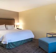 Hampton Inn Big Rapids hotel detail image 3