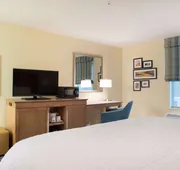 Hampton Inn Big Rapids hotel detail image 7