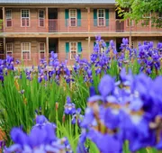 Holiday Inn Club Vacations Oak n’ Spruce Resort in the Berkshires by IHG hotel detail image 3