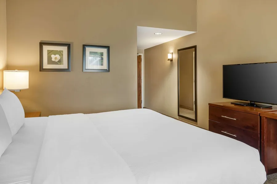 Comfort Inn & Suites at CrossPlex Village hotel detail image 6