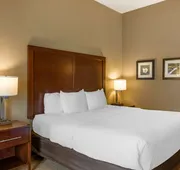Comfort Inn & Suites at CrossPlex Village hotel detail image 7