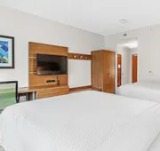 Holiday Inn Express & Suites Mobile - University Area by IHG hotel detail image 4