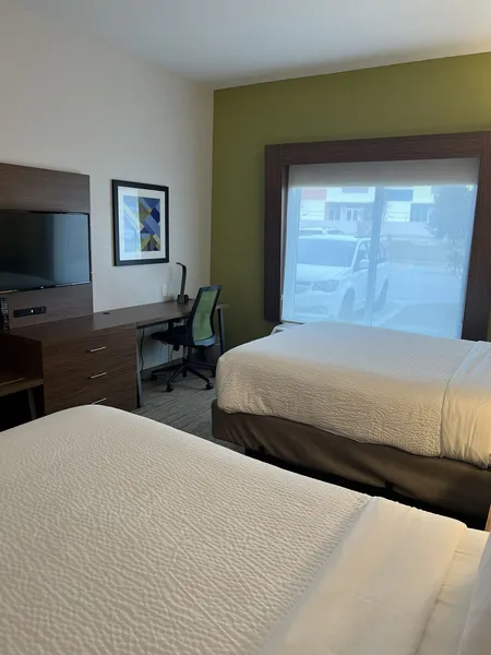 Holiday Inn Express & Suites Mobile - University Area by IHG hotel detail image 6