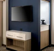 SpringHill Suites by Marriott Tampa Suncoast Parkway hotel detail image 7