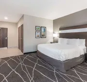 La Quinta Inn and Suites by Wyndham Houston Spring South hotel detail image 7