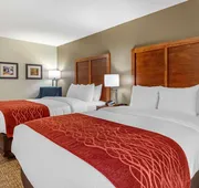 Comfort Inn White House hotel detail image 7