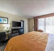 Quality Inn hotel detail image 7