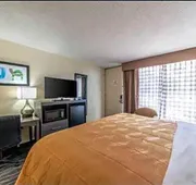 Quality Inn hotel detail image 4