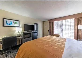 Quality Inn hotel thumbnail 4
