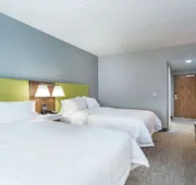 Hampton Inn & Suites Saraland Mobile hotel detail image 7