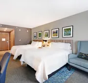 Hilton Garden Inn Houston Hobby Airport, TX hotel detail image 4