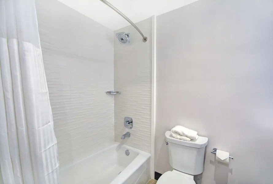 Hilton Garden Inn Houston Hobby Airport, TX hotel detail image 6