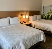 Holiday Inn & Suites Houston NW - Willowbrook by IHG hotel detail image 7