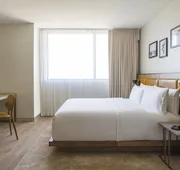 The Dalmar, Fort Lauderdale, a Tribute Portfolio Hotel hotel detail image 7