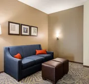 Comfort Suites - South Austin hotel detail image 7