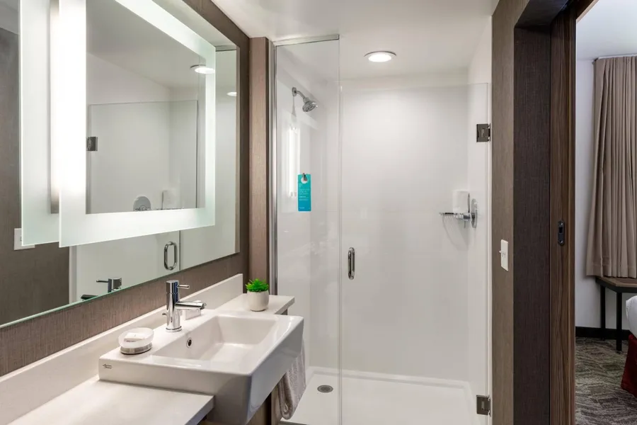 SpringHill Suites by Marriott Chattanooga South/Ringgold, GA hotel detail image 2