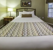 Holiday Inn Club Vacations Villages Resort By IHG hotel detail image 4