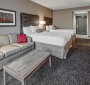 Black Fox Lodge Pigeon Forge, Tapestry Collection by Hilton hotel detail image 5