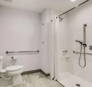 Hilton Garden Inn North Dallas Central Expy hotel detail image 3