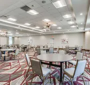 Hilton Garden Inn North Dallas Central Expy hotel detail image 5