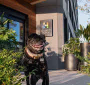 Hyatt Place Atlanta / Perimeter Center hotel detail image 4