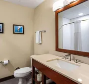Comfort Inn and Suites Ames near ISU Campus hotel detail image 3