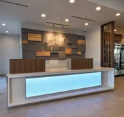 Holiday Inn Express & Suites Spring - Woodlands Area by IHG hotel detail image 7