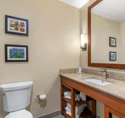Comfort Suites San Antonio Ft. Sam Houston/SAMMC Area hotel detail image 4