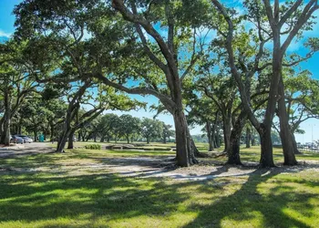 Oasis Resort Gulfport hotel thumbnail 5