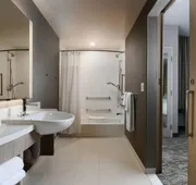 SpringHill Suites by Marriott Dallas DFW Airport South/CentrePort hotel detail image 5